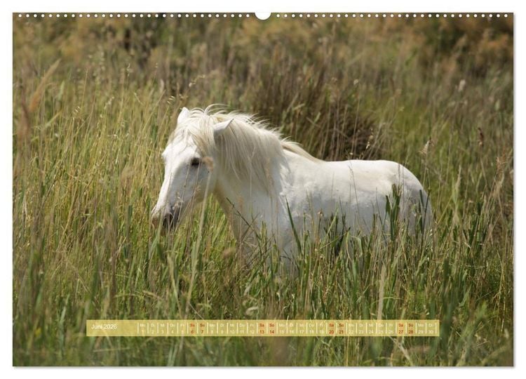 Produktbild: S&uuml;dfrankreich - Rund um Montpellier (hochwertiger Premium Wandkalender 2026 DIN A2 quer), Kunstdruck in Hochglanz