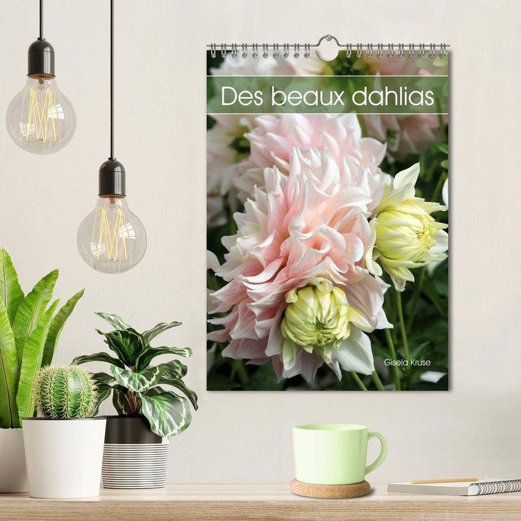 Produktbild: Des beaux dahlias (Calendrier mural 2026 DIN A4 horizontal), CALVENDO calendrier mensuel