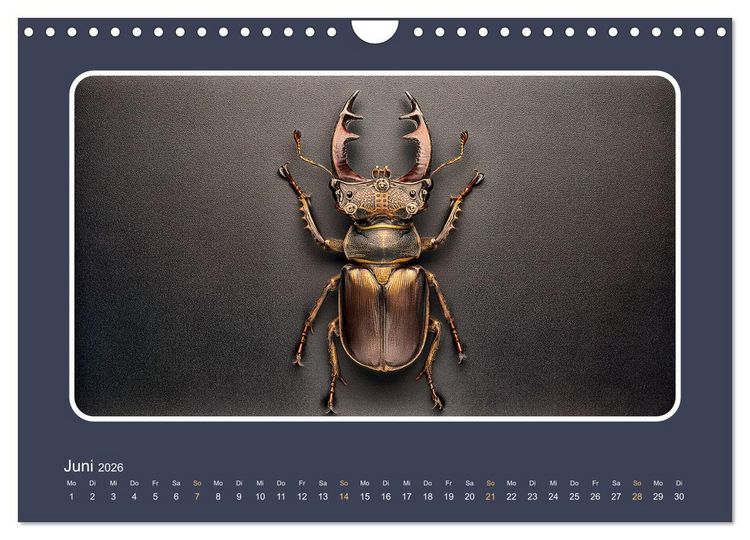 Produktbild: Roboterinsekten (Wandkalender 2026 DIN A4 quer), CALVENDO Monatskalender
