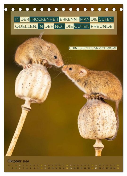 Produktbild: Freundschaft Weisheiten und Zitate (Tischkalender 2026 DIN A5 hoch), CALVENDO Monatskalender