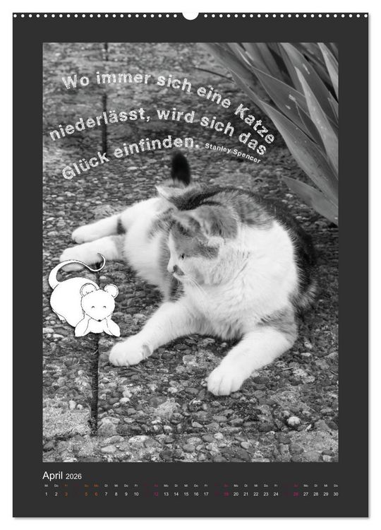 Produktbild: Katz & Maus (Wandkalender 2026 DIN A2 hoch), CALVENDO Monatskalender