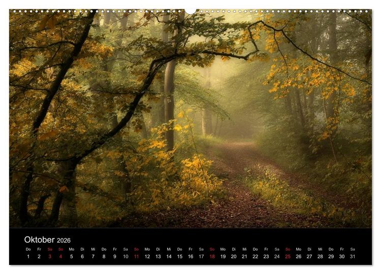 Produktbild: Mysterium Wald (hochwertiger Premium Wandkalender 2026 DIN A2 quer), Kunstdruck in Hochglanz