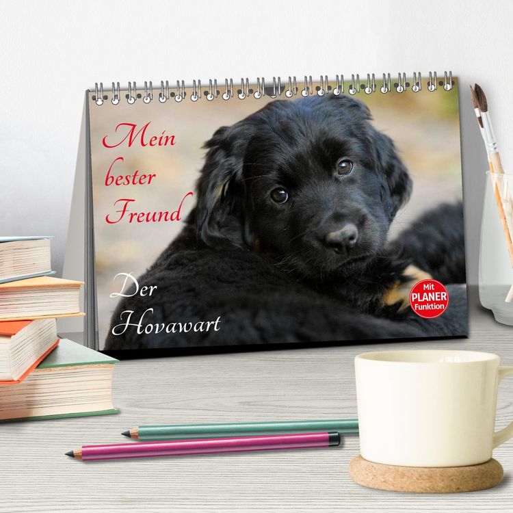 Produktbild: Mein bester Freund - Der Hovawart (Tischkalender 2026 DIN A5 quer), CALVENDO Monatskalender