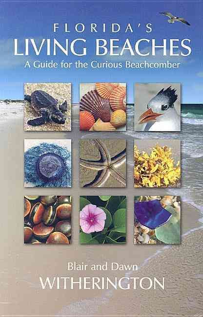 Produktbild: Floridas Living Beaches