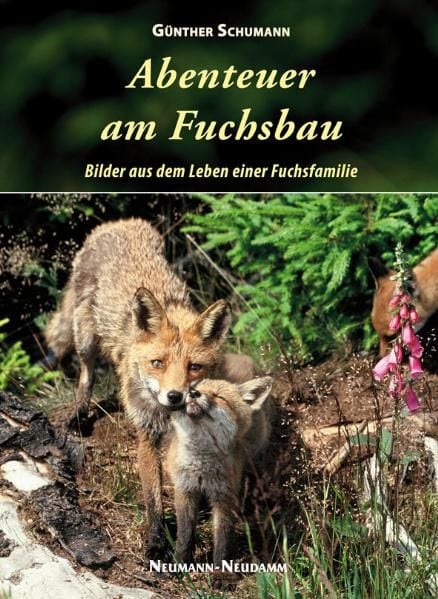 Produktbild: Abenteuer am Fuchsbau