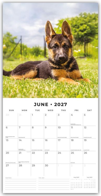 Produktbild: German Shepherd Puppies &ndash; Deutsche Sch&auml;ferhunde Welpen 2027 &ndash; 16-Monatskalender