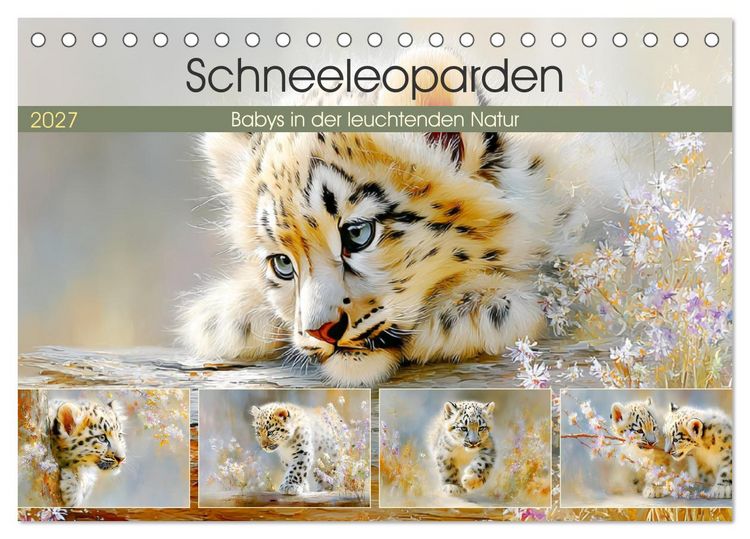 Produktbild: Schneeleoparden. Babys in der leuchtenden Natur (Tischkalender 2027 DIN A5 quer), CALVENDO Monatskalender