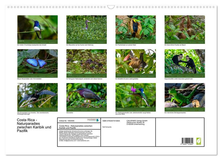 Produktbild: Costa Rica - Naturparadies zwischen Karibik und Pazifik (Wandkalender 2026 DIN A2 quer), CALVENDO Monatskalender