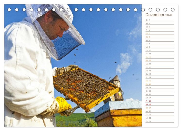 Produktbild: S&uuml;&szlig;es Gold: Imker, Bienen & Honig (Tischkalender 2026 DIN A5 quer), CALVENDO Monatskalender
