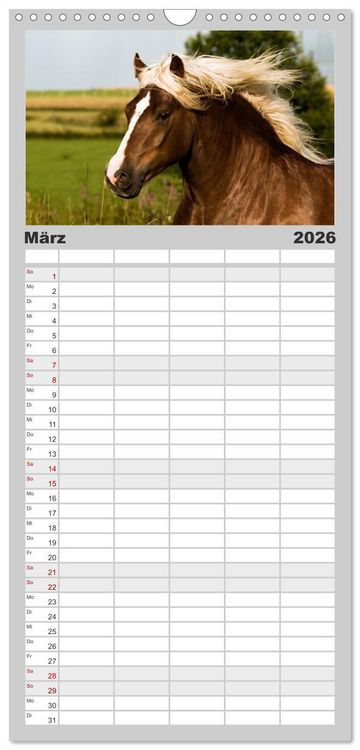 Produktbild: Familienplaner 2026 - Faszination und Vielfalt - Schwarzw&auml;lder Kaltblut mit 5 Spalten (Wandkalender, 21 x 45 cm) CALVENDO