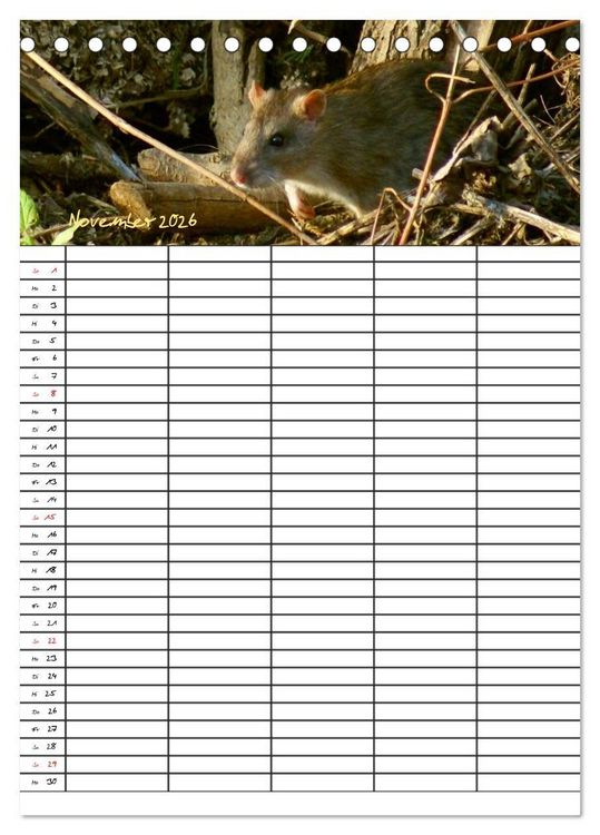 Produktbild: Bauernhoftiere Familienplaner (Tischkalender 2026 DIN A5 hoch), CALVENDO Monatskalender