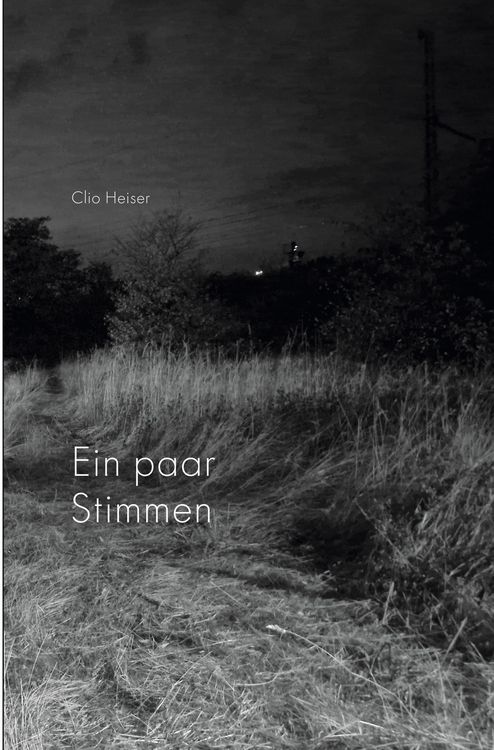 Produktbild: Ein paar Stimmen