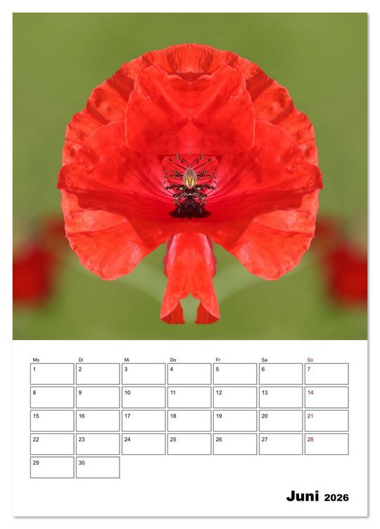 Produktbild: Fotokunst und Natur 2026 (Wandkalender 2026 DIN A4 hoch), CALVENDO Monatskalender