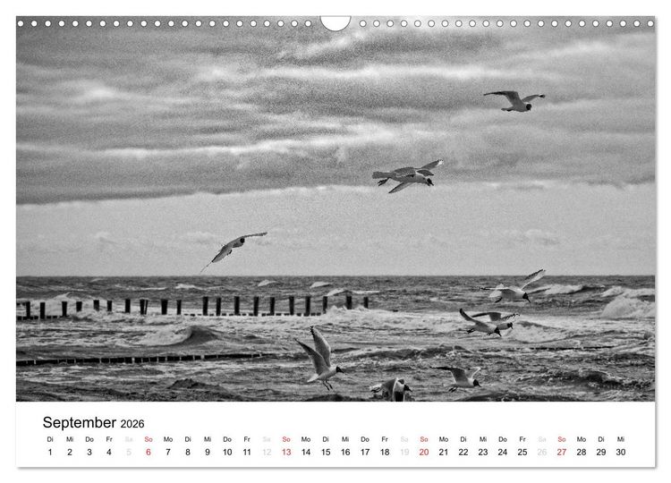 Produktbild: Ostseebad Zingst - Impressionen in Schwarz-Wei&szlig; (Wandkalender 2026 DIN A3 quer), CALVENDO Monatskalender