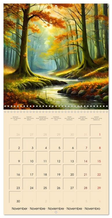 Produktbild: The forest through the seasons (Wall Calendar 2026 12 &times; 12 Inch) CALVENDO 12 Month Wall Calendar