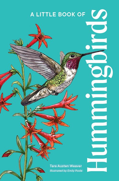 Produktbild: A Little Book of Hummingbirds