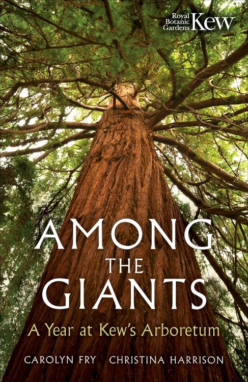 Produktbild: Among the Giants