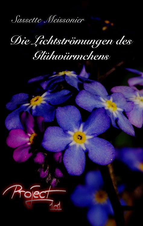 Produktbild: Die Lichtstr&ouml;mungen des Gl&uuml;hw&uuml;rmchens
