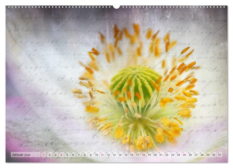 Produktbild: Vintage Nature - Romantische Naturaufnahmen (Wandkalender 2026 DIN A2 quer), CALVENDO Monatskalender