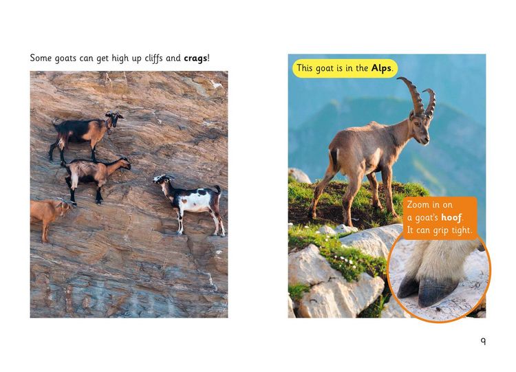 Produktbild: Goat Skills