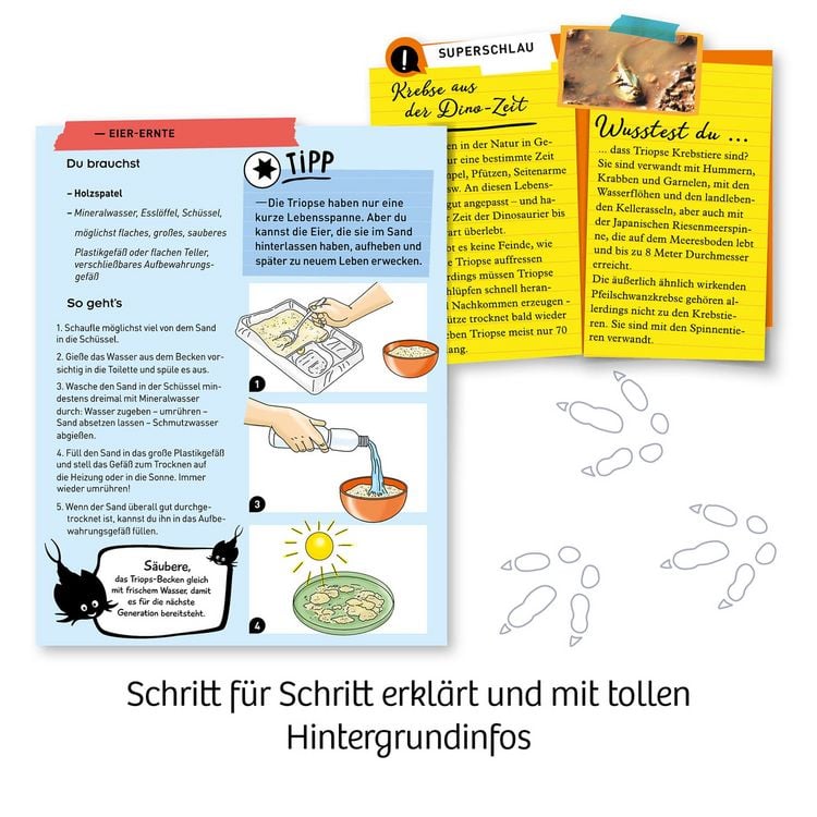 Produktbild: Fun Science Triops z&uuml;chten