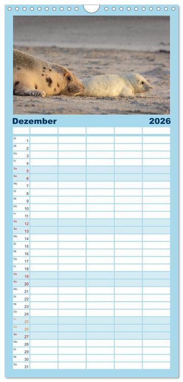 Produktbild: Familienplaner 2026 - Junge Kegelrobben mit 5 Spalten (Wandkalender, 21 x 45 cm) CALVENDO
