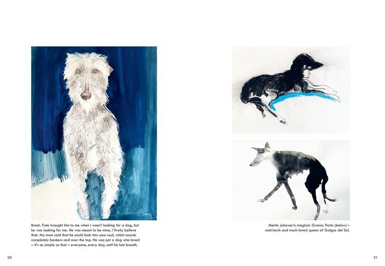 Produktbild: Rescue Dogs Hb