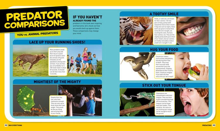 Produktbild: National Geographic Kids Everything Predators