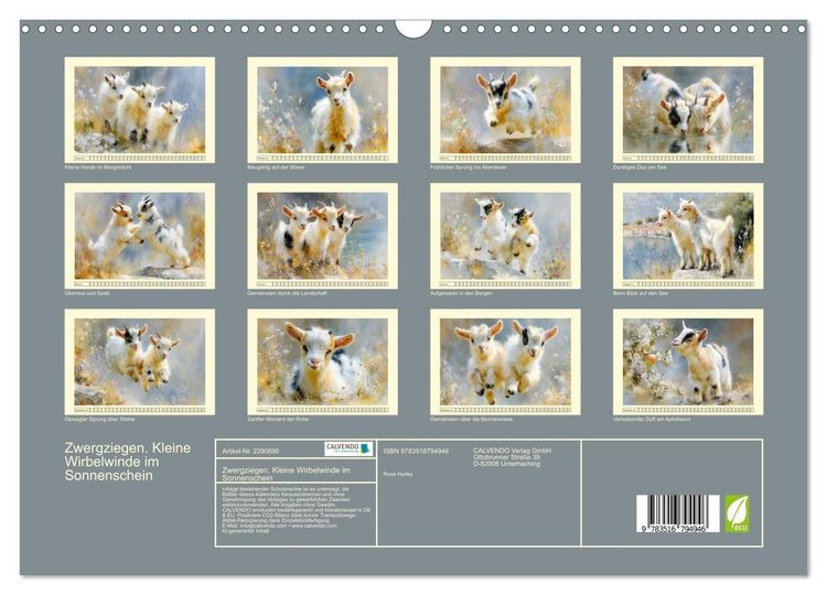 Produktbild: Zwergziegen. Kleine Wirbelwinde im Sonnenschein (Wandkalender 2027 DIN A3 quer), CALVENDO Monatskalender