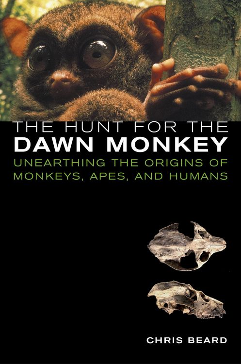 Produktbild: The Hunt for the Dawn Monkey