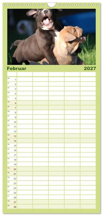 Produktbild: Familienplaner 2027 - Bulldoggen-Kinder mit 5 Spalten (Wandkalender, 21 x 45 cm) CALVENDO