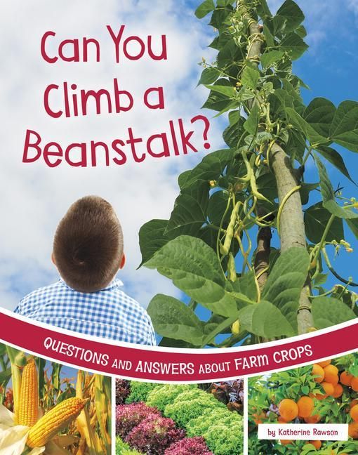 Produktbild: Can You Climb a Beanstalk?