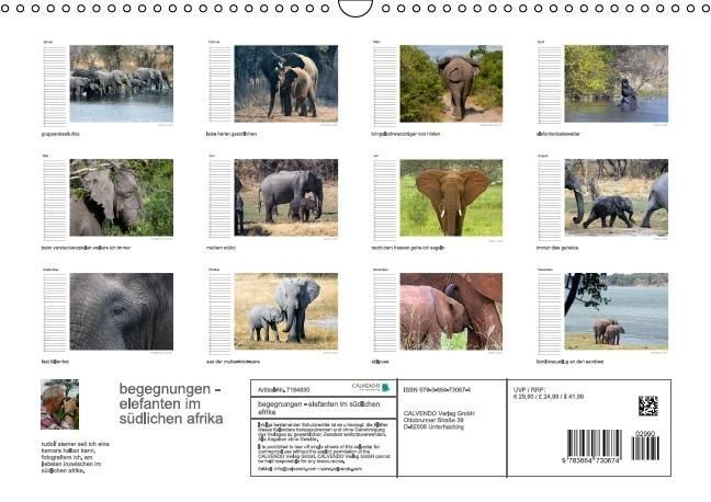 Produktbild: begegnungen - elefanten im s&uuml;dlichen afrika (Wandkalender immerw&auml;hrend DIN A3 quer)