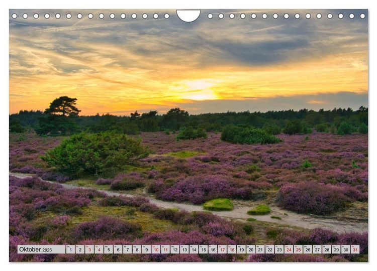 Produktbild: Streifz&uuml;ge durch den Norden der Niederlande (Wandkalender 2026 DIN A4 quer), CALVENDO Monatskalender