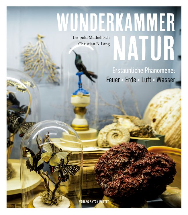 Produktbild: Wunderkammer Natur