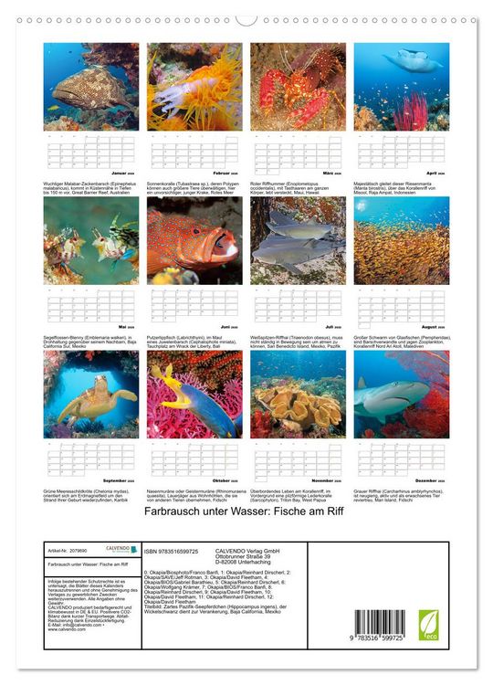 Produktbild: Farbrausch unter Wasser: Fische am Riff (hochwertiger Premium Wandkalender 2026 DIN A2 hoch), Kunstdruck in Hochglanz