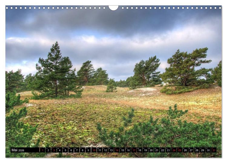 Produktbild: Fischland Dar&szlig; Zingst &ndash; Die Halbinsel an der Ostsee (Wandkalender 2026 DIN A3 quer), CALVENDO Monatskalender