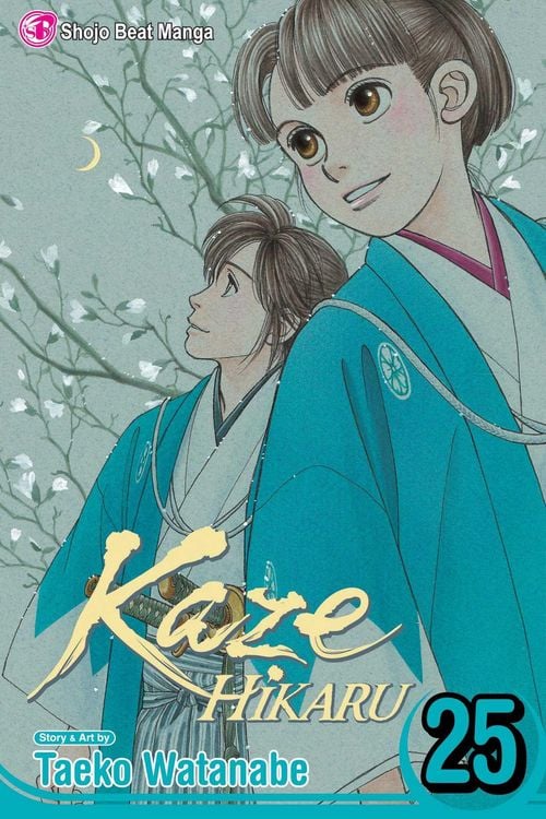 Produktbild: Kaze Hikaru, Vol. 25