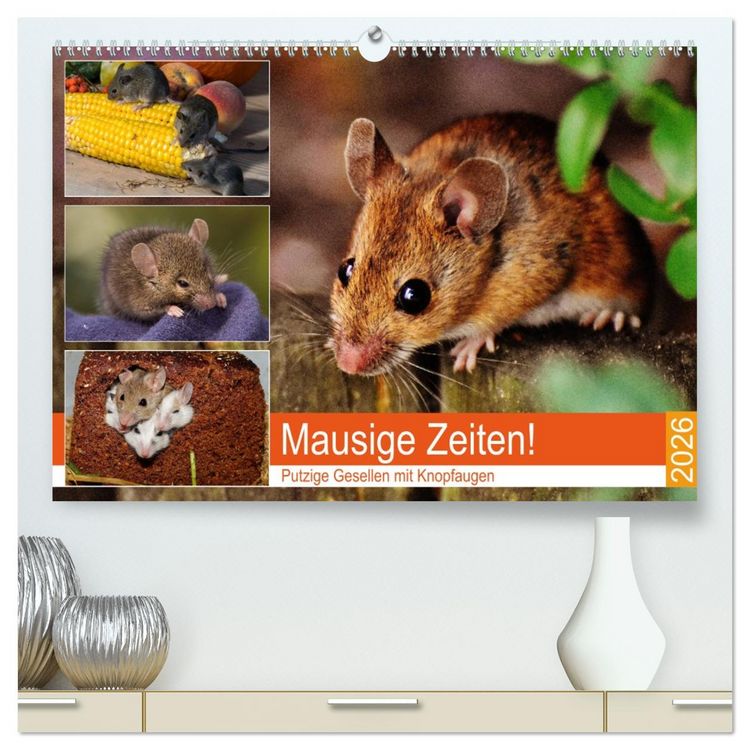 Produktbild: Mausige Zeiten! Putzige Gesellen mit Knopfaugen (hochwertiger Premium Wandkalender 2026 DIN A2 quer), Kunstdruck in Hochglanz