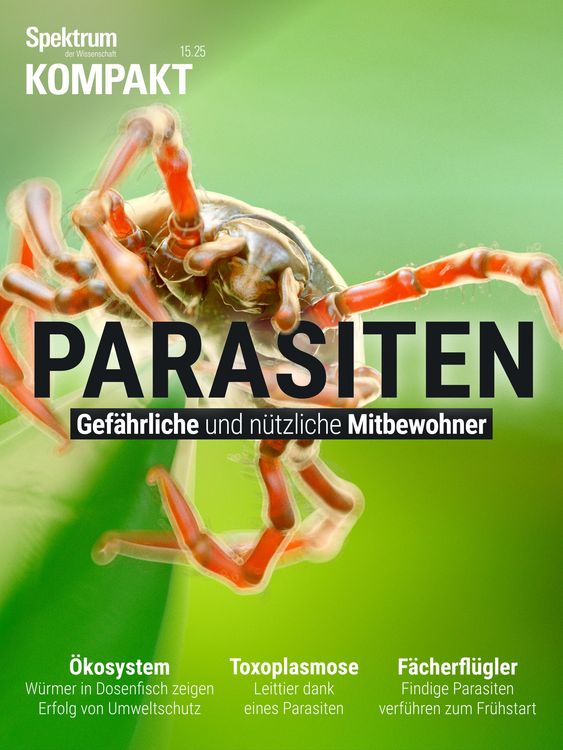 Produktbild: Spektrum Kompakt - Parasiten