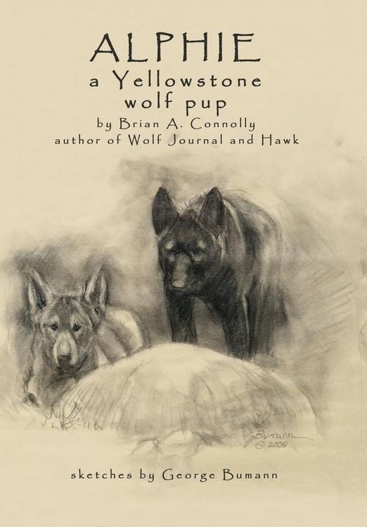 Produktbild: Alphie, a Yellowstone Wolf Pup