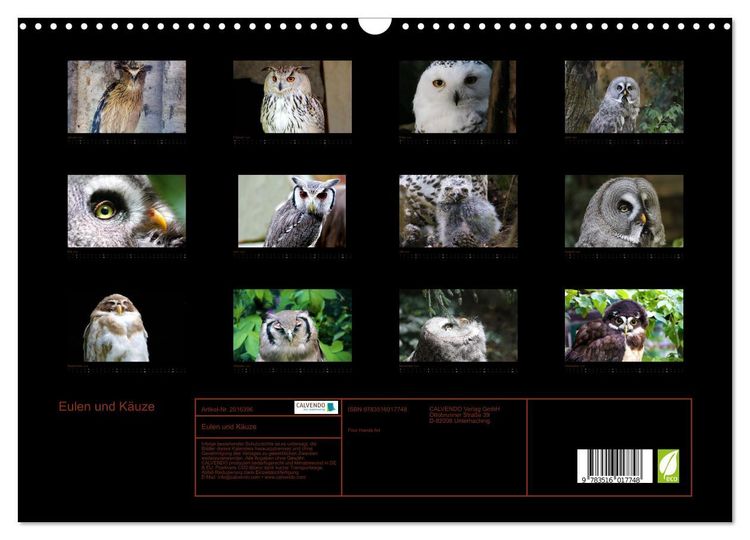 Produktbild: Eulen und K&auml;uze (Wandkalender 2026 DIN A3 quer), CALVENDO Monatskalender