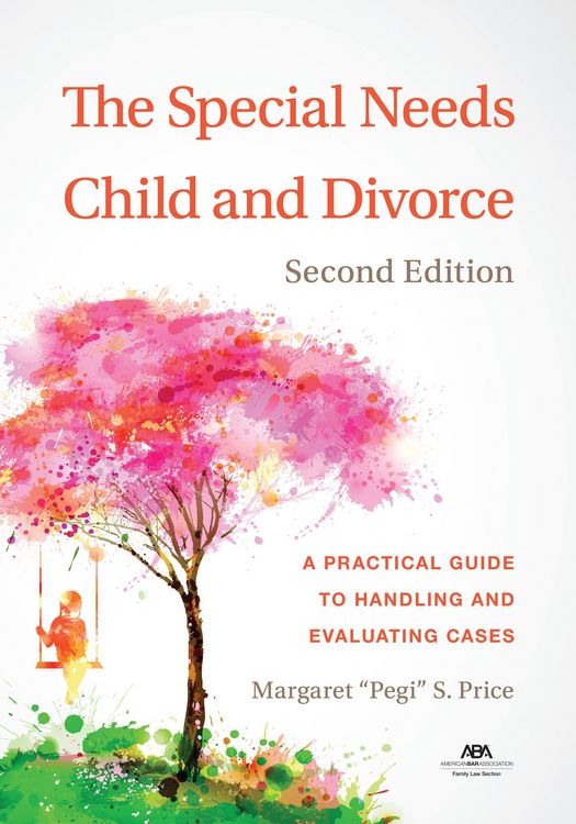 Produktbild: The Special Needs Child and Divorce