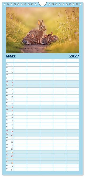 Produktbild: Familienplaner 2027 - Zwischen den Feldern mit 5 Spalten (Wandkalender, 21 x 45 cm) CALVENDO
