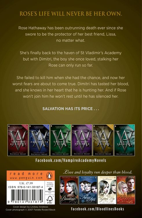 Produktbild: Vampire Academy: Spirit Bound (book 5)