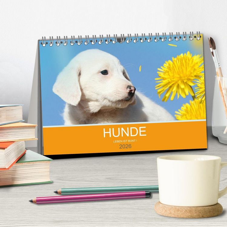 Produktbild: HUNDE LEBEN IST BUNT (Tischkalender 2026 DIN A5 quer), CALVENDO Monatskalender