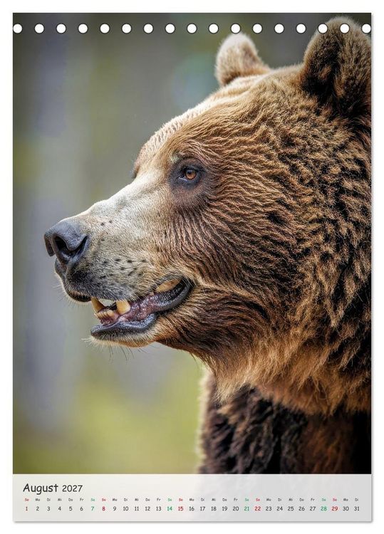 Produktbild: Grizzlyb&auml;ren und Lachse (Tischkalender 2027 DIN A5 hoch), CALVENDO Monatskalender