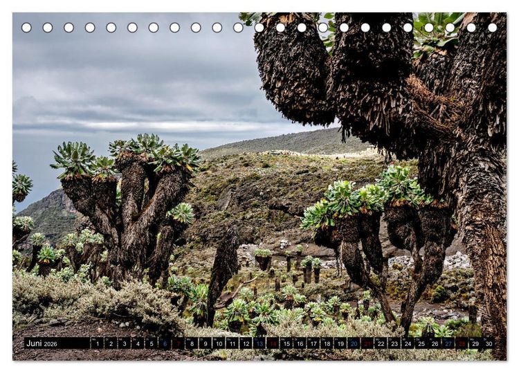Produktbild: Kilimanjaro - das Dach Afrikas (Tischkalender 2026 DIN A5 quer), CALVENDO Monatskalender