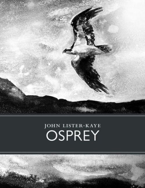 Produktbild: Osprey