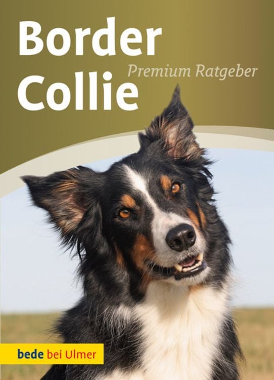 Produktbild: Border Collie